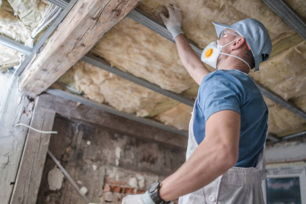 Best Cellulose Insulation in Logansport, IN