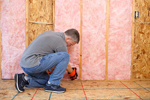 Best Residential Insulation in Logansport, IN