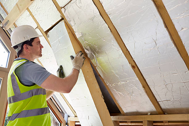 Best Geographic-Specific Insulation Services in Logansport, IN