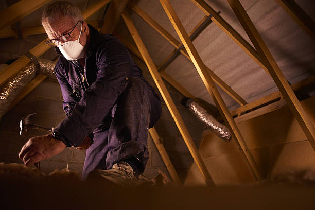 Trusted Logansport, IN Insulation Contractor Experts