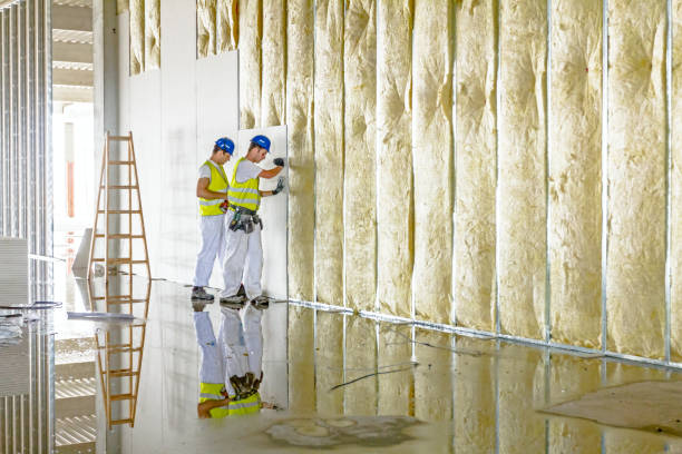 Types of Insulation We Offer in Logansport, IN
